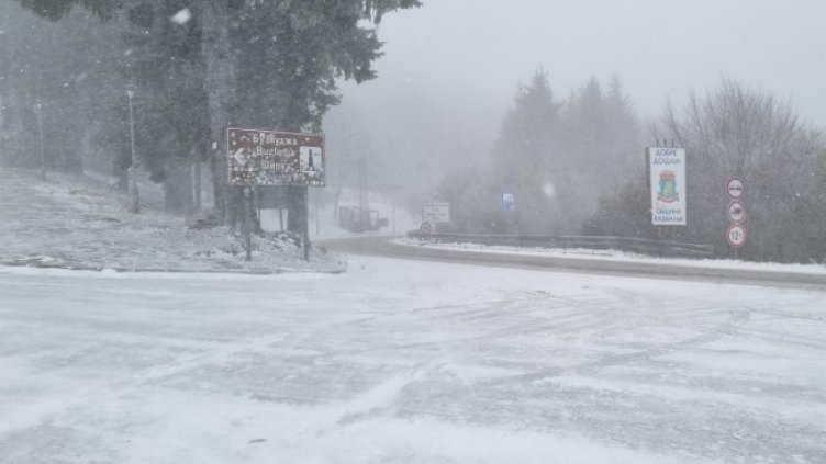 Снимка: БГНЕС