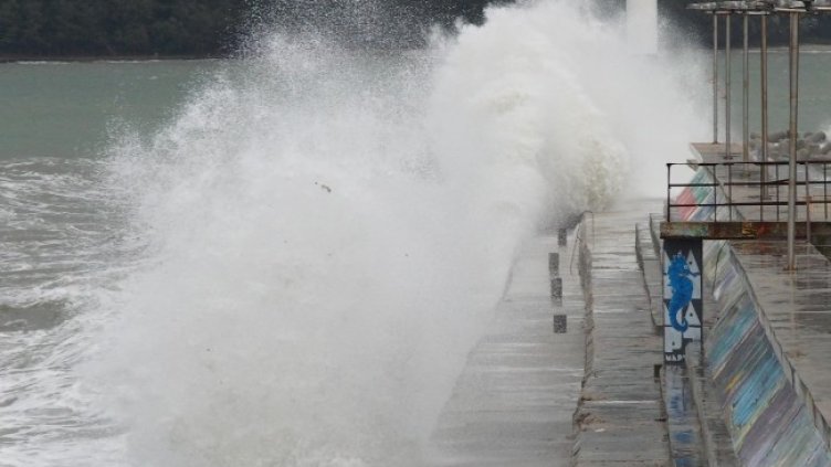 Снимка: БГНЕС, архив