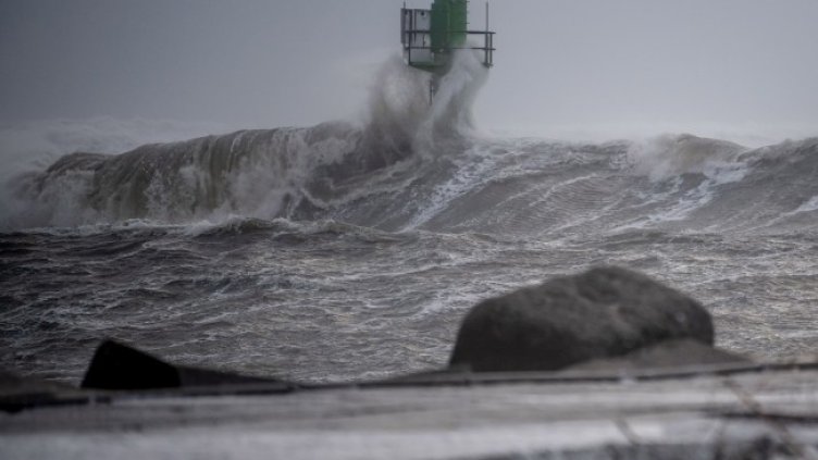 Снимка: архив, БГНЕС