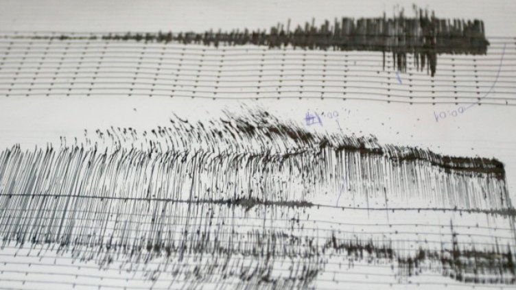 Снимка: архив, БГНЕС