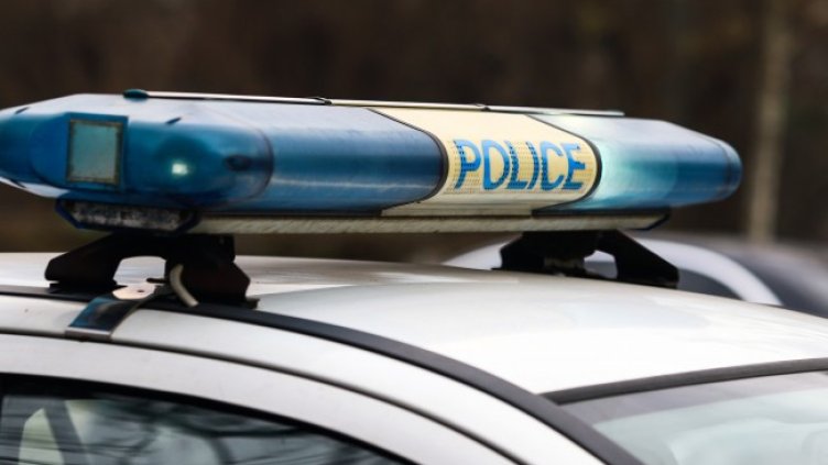 Снимка: архив, БГНЕС