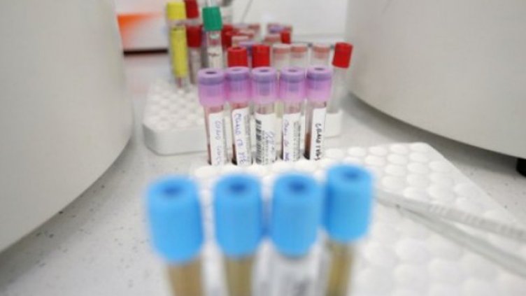 Снимка: Димитър Кьосемарлиев