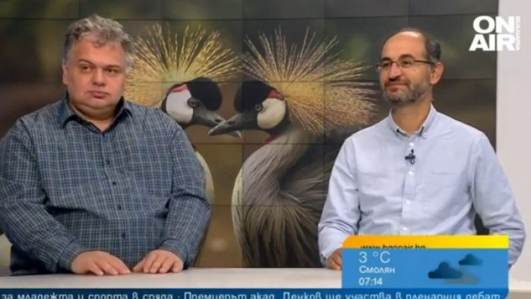 Снимка: Bulgaria ON AIR