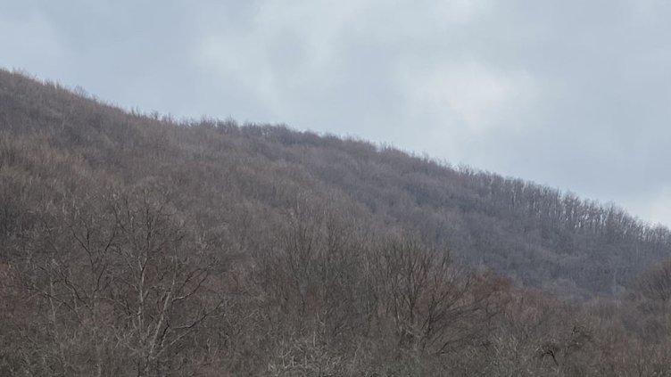 Снимка: архив, БГНЕС