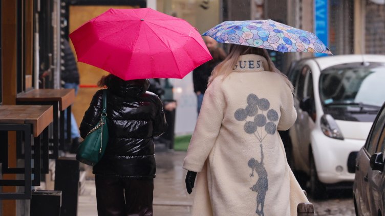 Снимка: архив, БГНЕС