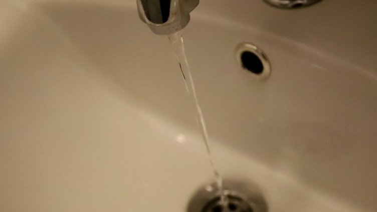 Снимка БГНЕС, архив