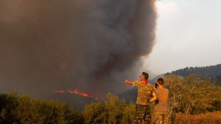 Снимка: БГНЕС