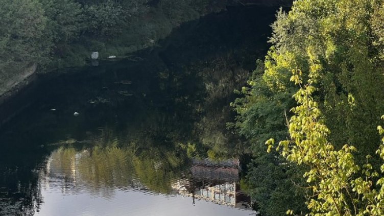 Снимка БГНЕС, архив