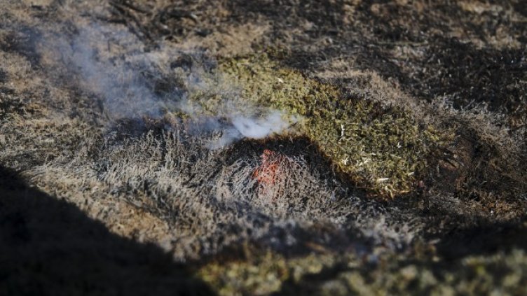 Снимка: БГНЕС/ЕРА