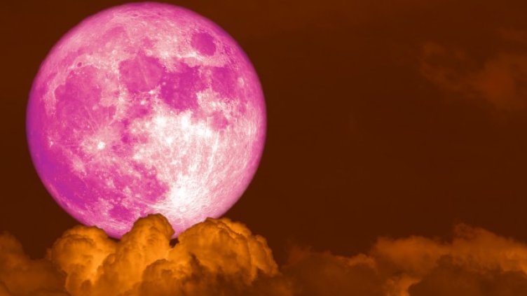 Снимка: iStock/Chayanan