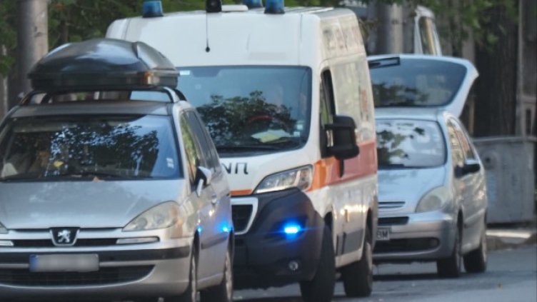 Снимка: БГНЕС