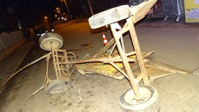 Снимка: БГНЕС, архив