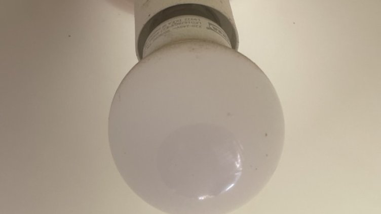 Снимка БГНЕС, архив