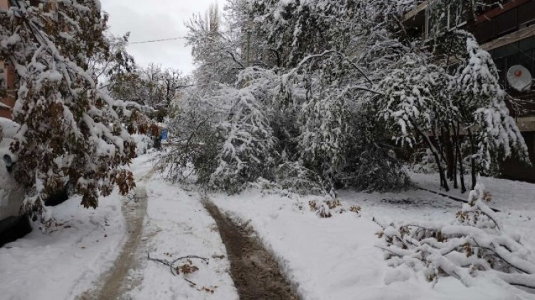 Снимка: БГНЕС