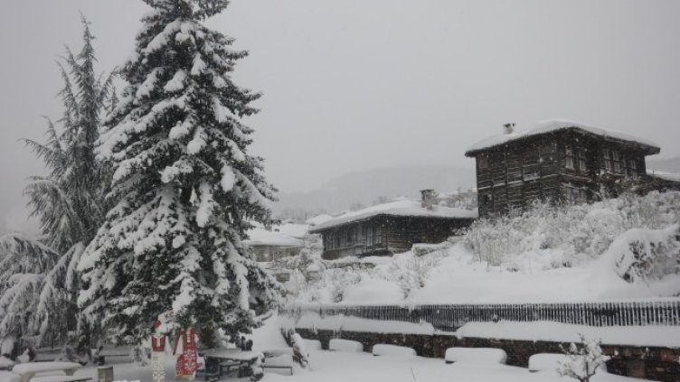 Снимка: БГНЕС