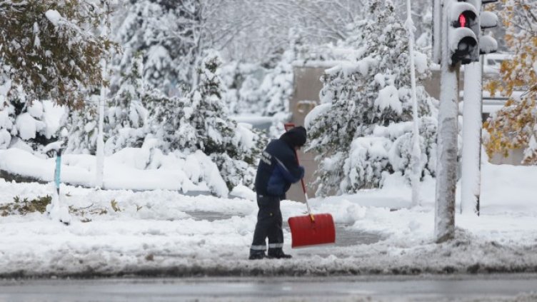 Снимка: БГНЕС