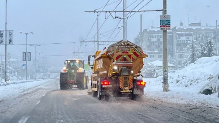 Снимка: БГНЕС