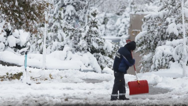 Снимка: БГНЕС