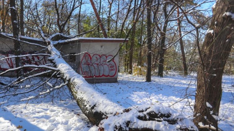 Снимка: Димитър Кьосемарлиев, Dnes.bg