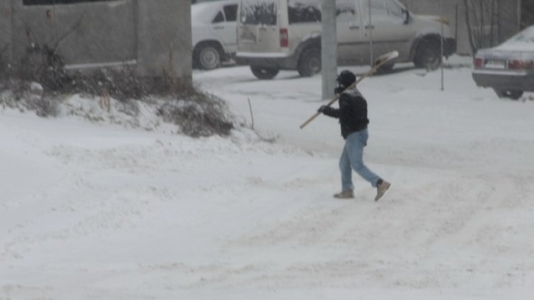 Снимка: БГНЕС, архив