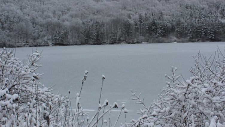 Снимка: БГНЕС, архив