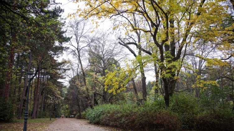 Снимка: БГНЕС