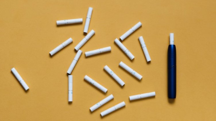 Снимка: shutterstock