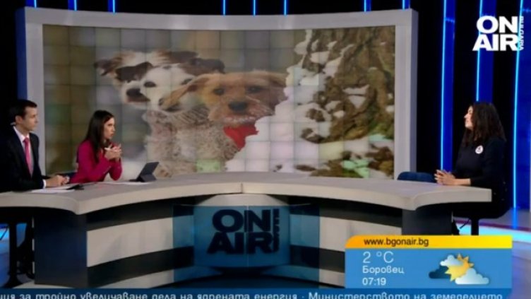 Снимка: Bulgaria ON AIR