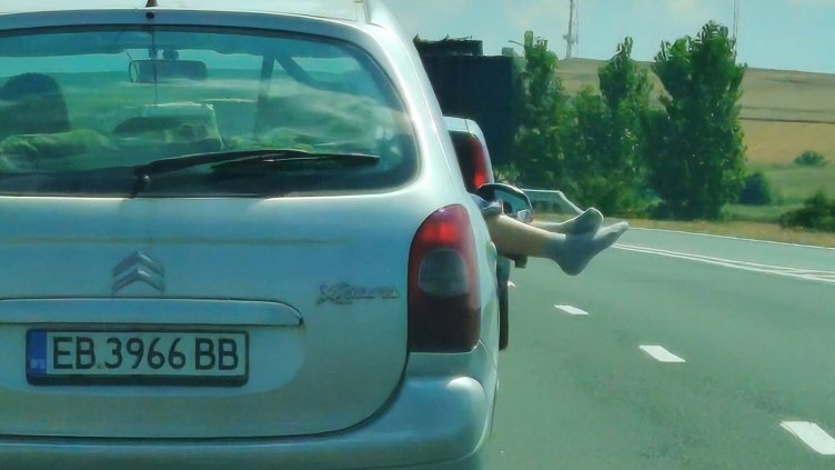 Снимка: Фейсбук/"Нарушители в Габрово"