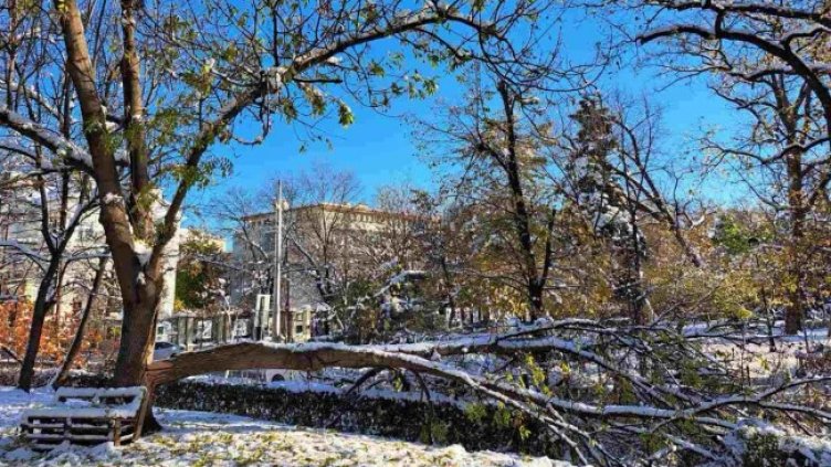 Снимка: БГНЕС