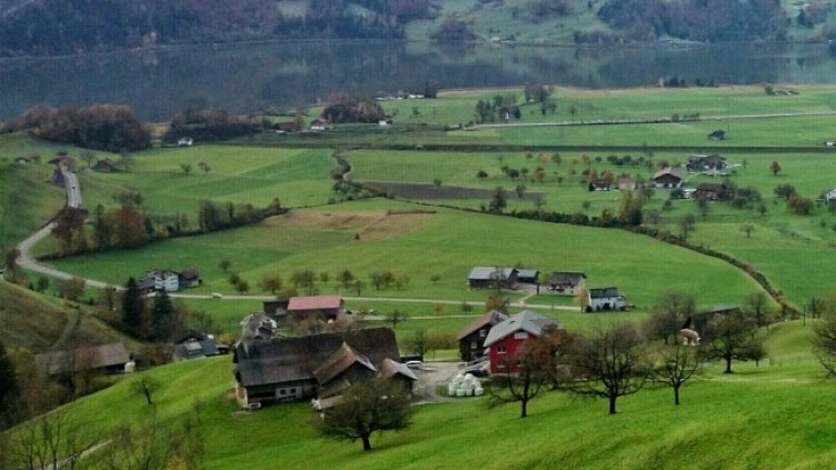 Снимка: Pixabay