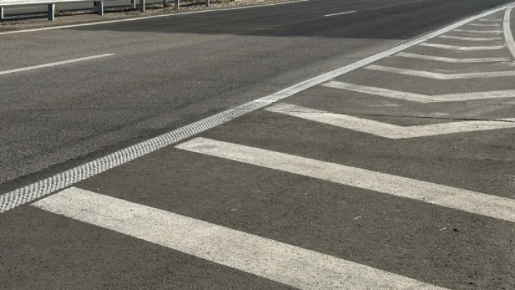 Снимка: архив, БГНЕС