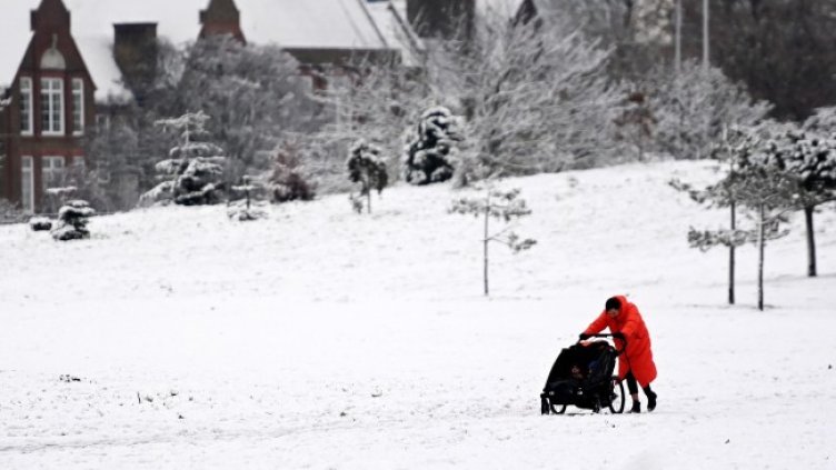 Снимка: архив, БГНЕС