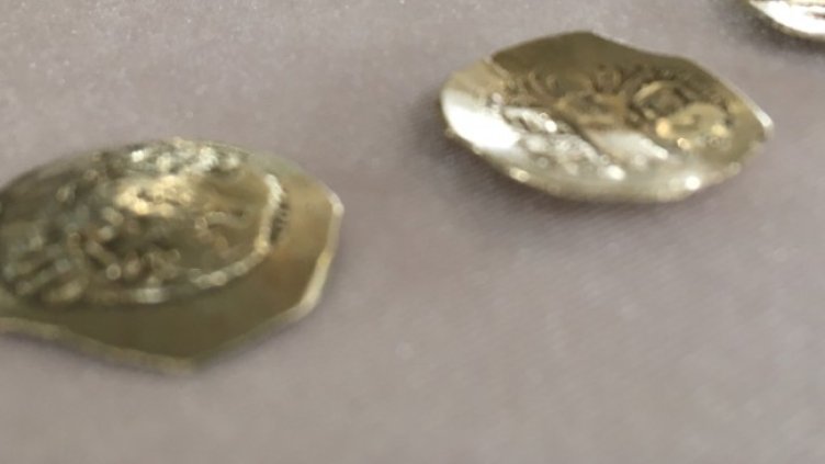 Снимка БГНЕС, архив