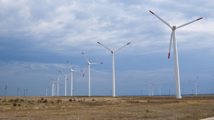 Снимка: Pixabay