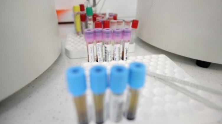 Снимка: Димитър Кьосемарлиев