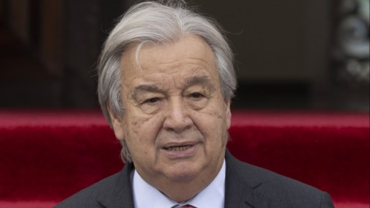 Снимка: архив, БГНЕС