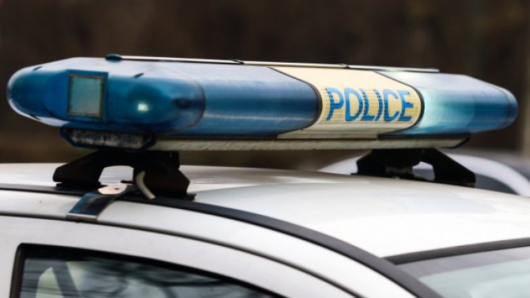 Снимка: архив, БГНЕС