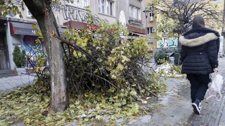 Снимка: архив, БГНЕС