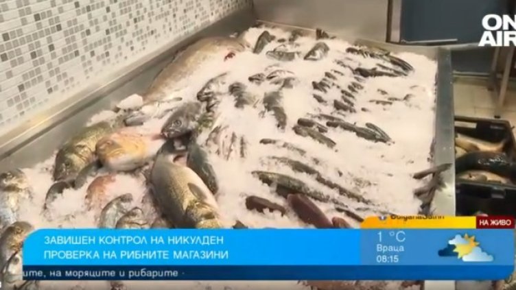 Снимка: Bulgaria ON AIR