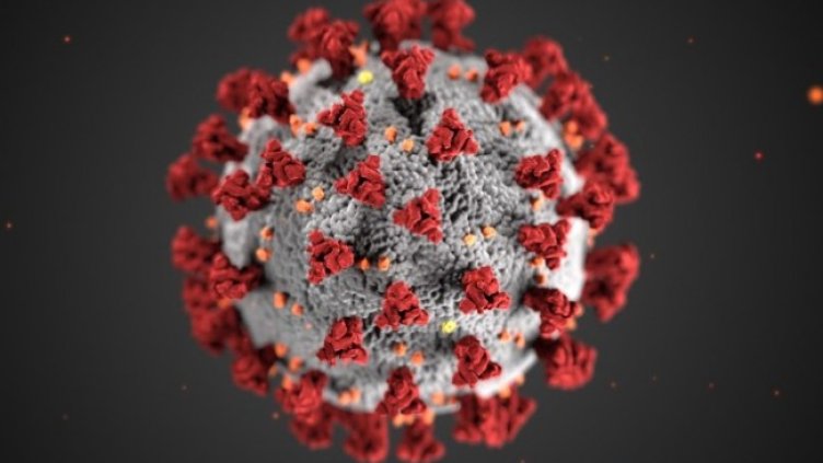 Снимка: архив, БГНЕС