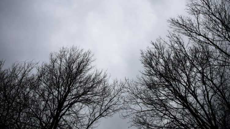 Снимка: архив, БГНЕС