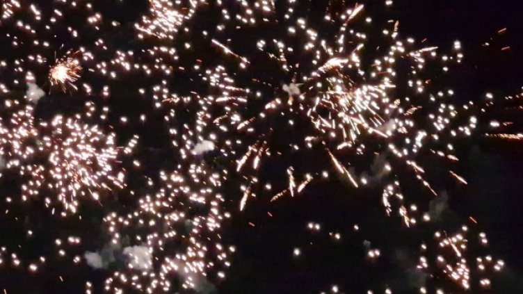 Снимка: архив, БГНЕС