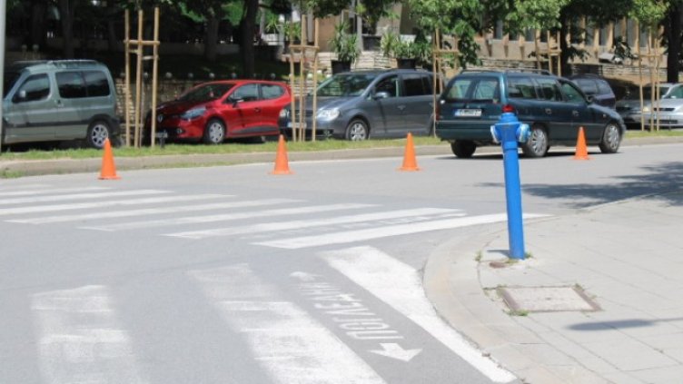 Снимка: БГНЕС, архив