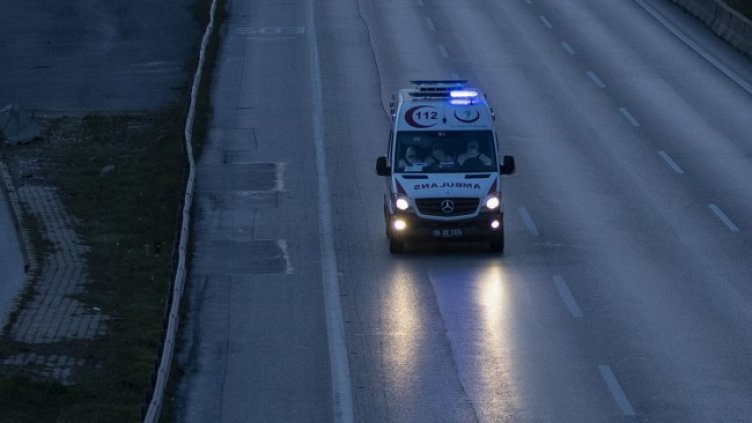 Снимка: архив, БГНЕС