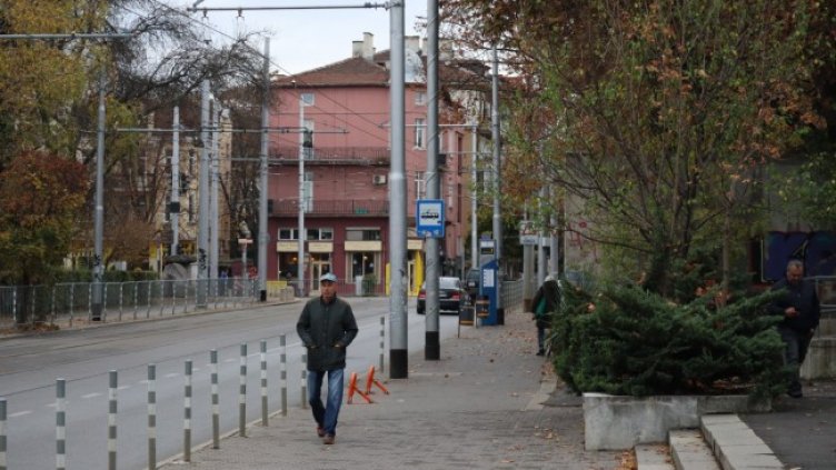 Снимка: БГНЕС