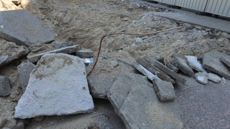 Снимка БГНЕС, архив