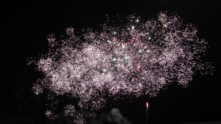 Снимка: архив, БГНЕС