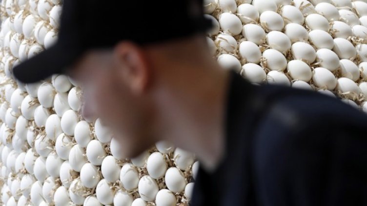 СНИМКА БГНЕС