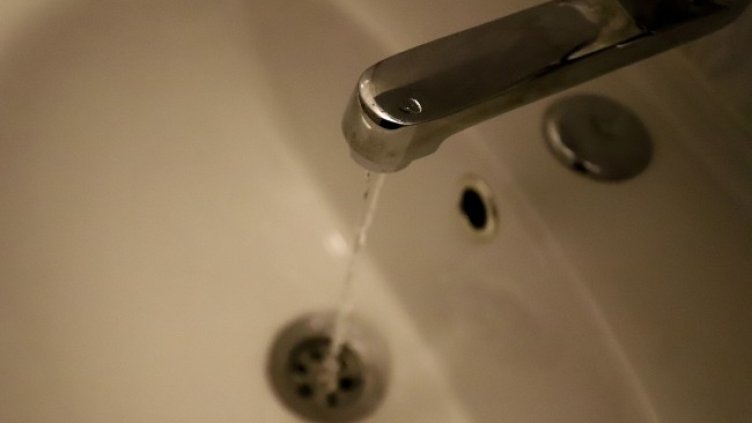 Снимка БГНЕС, архив